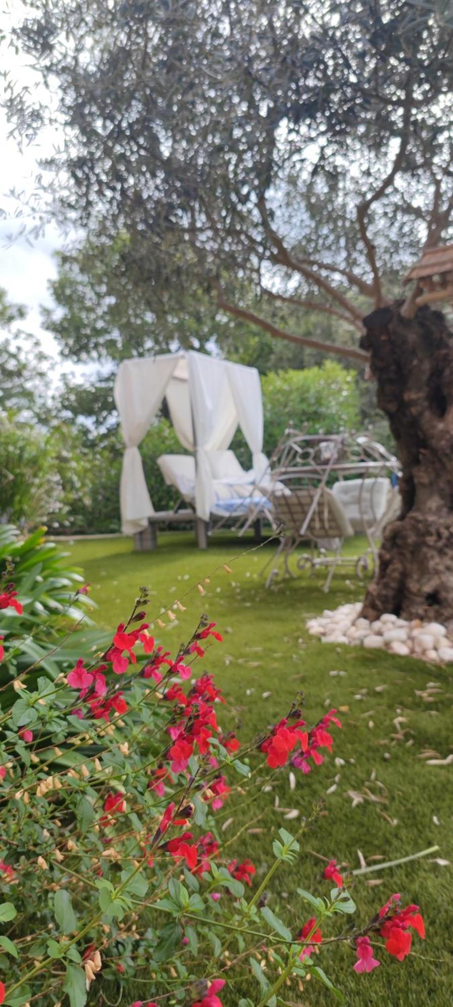 Bed and Breakfast La Chabertine Garéoult Esterno foto